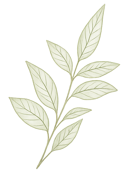 Decoration Leaves