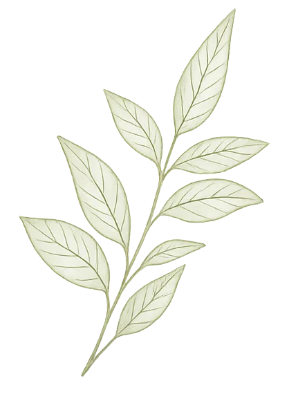 Decoration Leaves